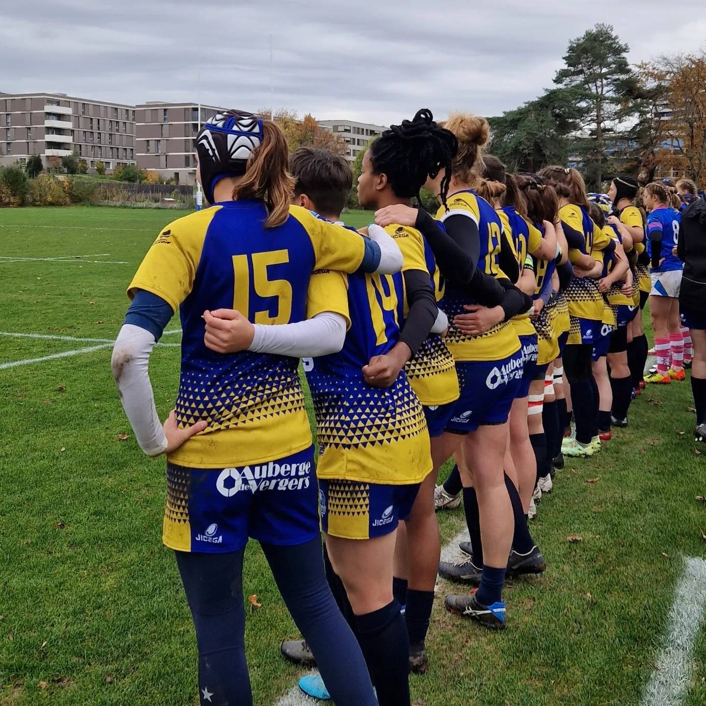 Short rugby WILDCATS RUGBY CLUB